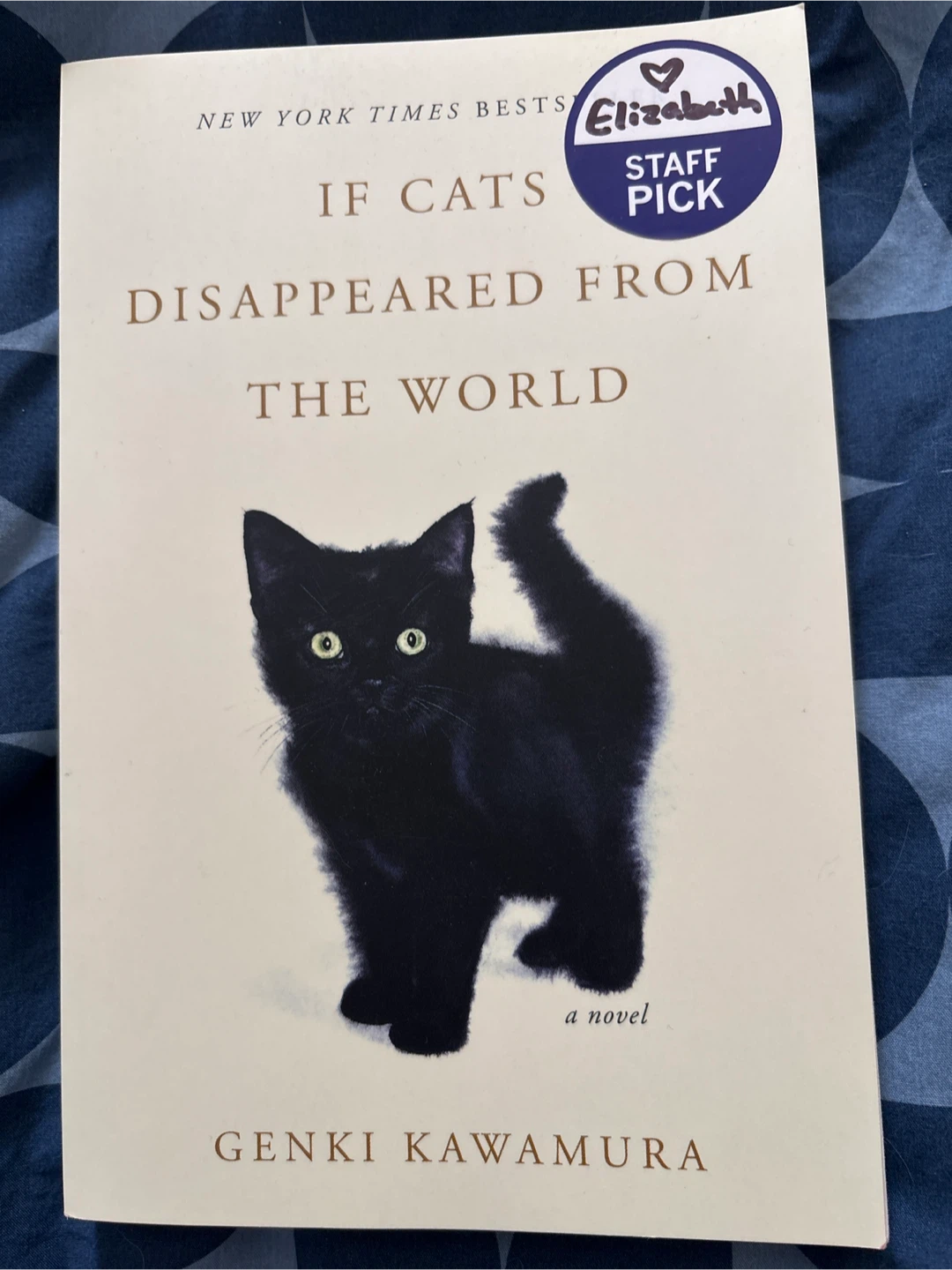 If Cats Disappeared From the World Novel by Genki Kawamura