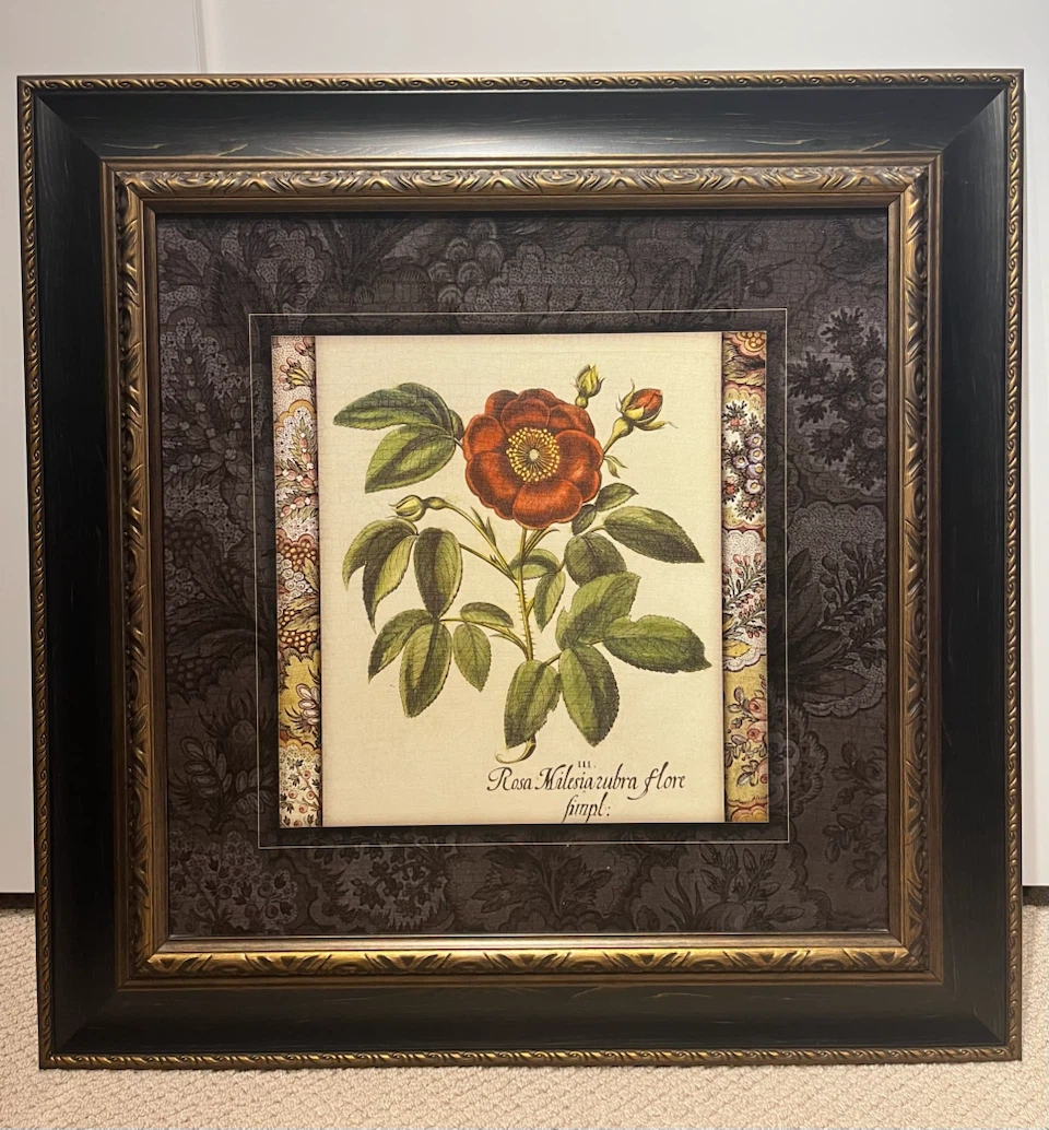 Pair of Large 32.5” Framed Botanical Prints - photo 2