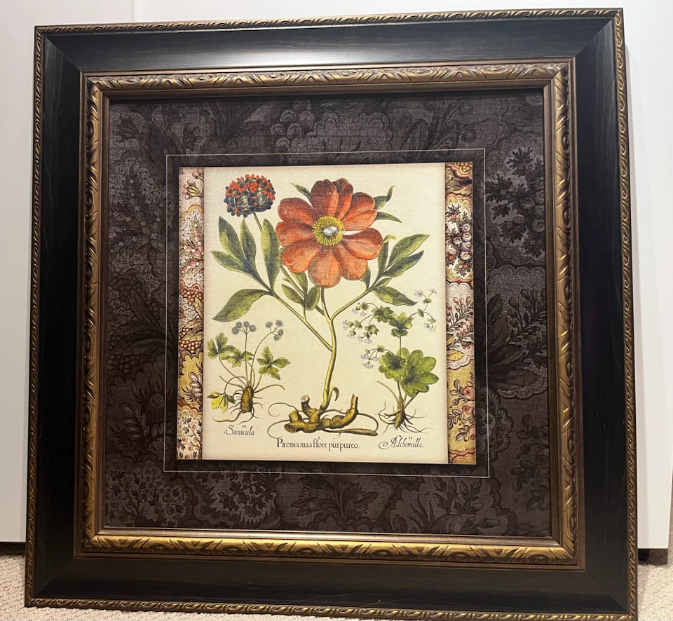 Pair of Large 32.5” Framed Botanical Prints - photo 3