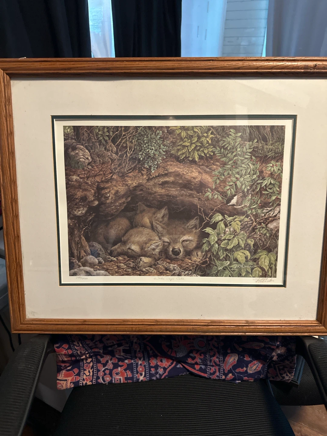 Framed "Wake-up Call" Print by R.M. Condon (1050/4950)