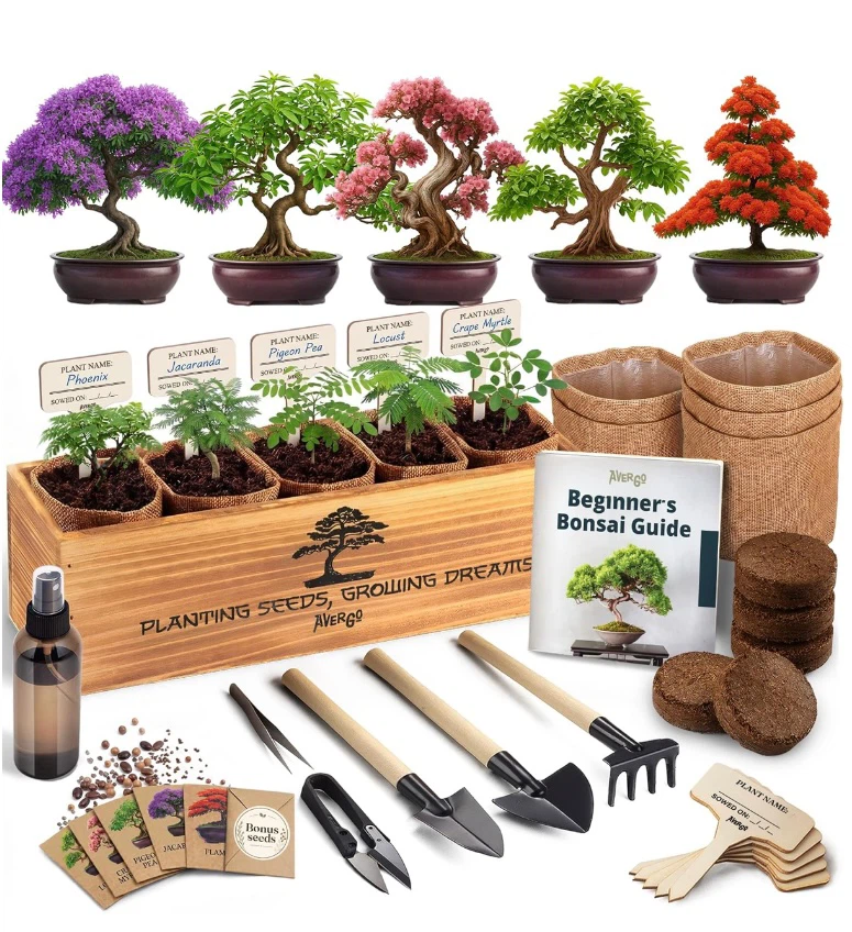 AVERGO 30 Pcs Premium Bonsai Seed Kit