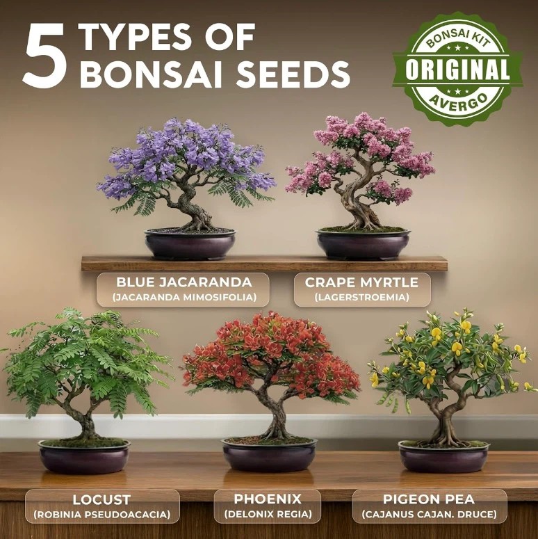 AVERGO 30 Pcs Premium Bonsai Seed Kit - photo 2