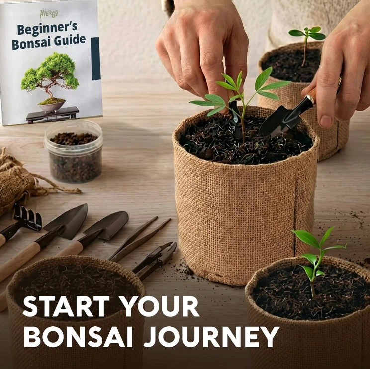 AVERGO 30 Pcs Premium Bonsai Seed Kit - photo 4