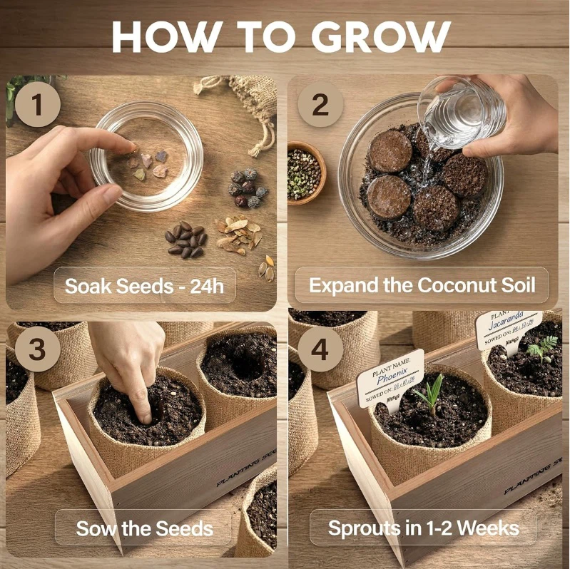 AVERGO 30 Pcs Premium Bonsai Seed Kit - photo 5