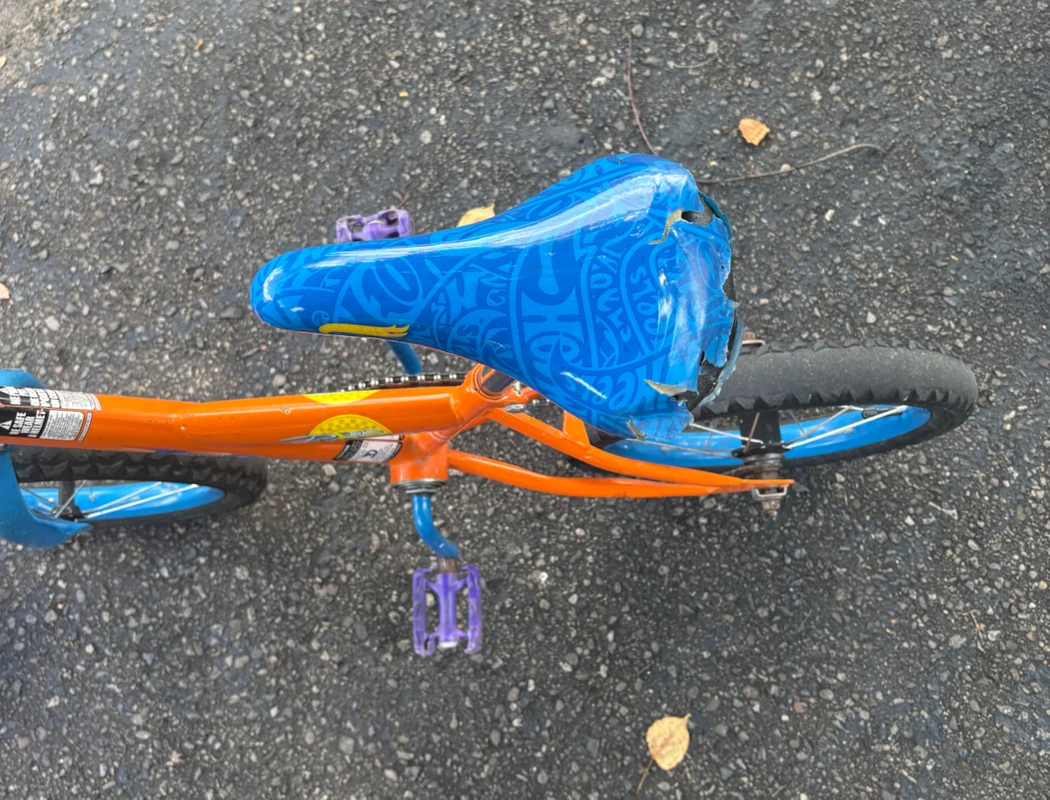 Hot Wheels Kids BMX Bike - photo 3