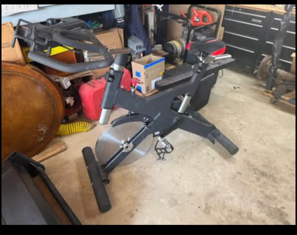 Sole SB700 Spin Bike