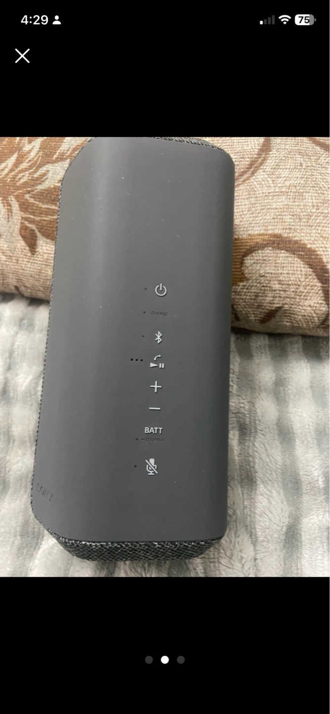 Sony Portable Wireless Speaker