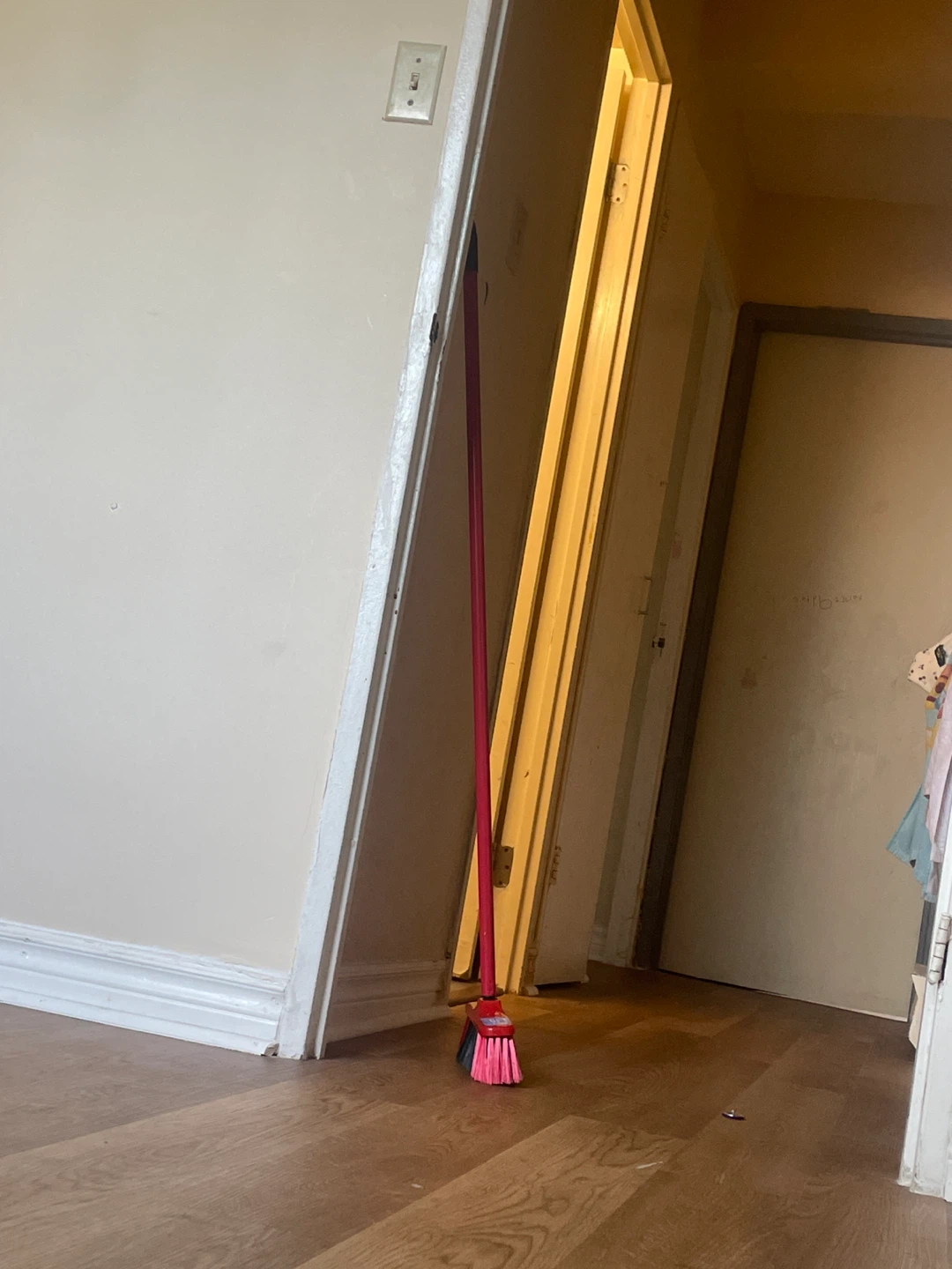 Pink Broom with Handle