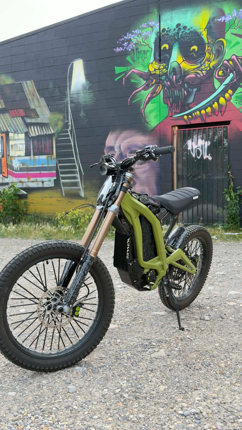 Green Surron Light Bee X Electric Dirt Bike - photo 4