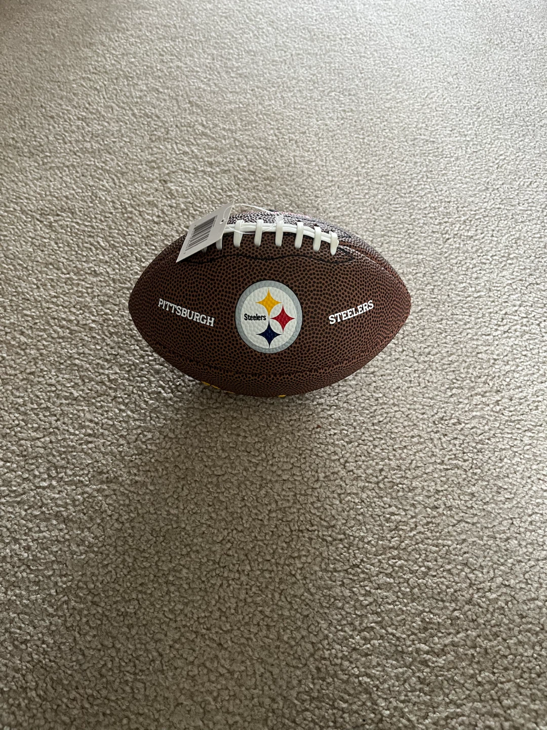 Wilson Pittsburgh Steelers Mini Football