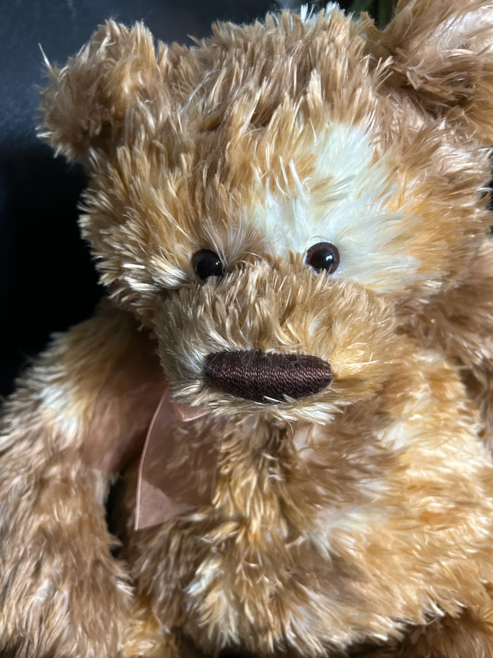 Gund Butterscotch Teddy Bear - photo 2