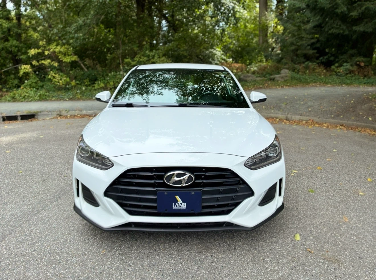 2019 Hyundai Veloster 2.0 - photo 2