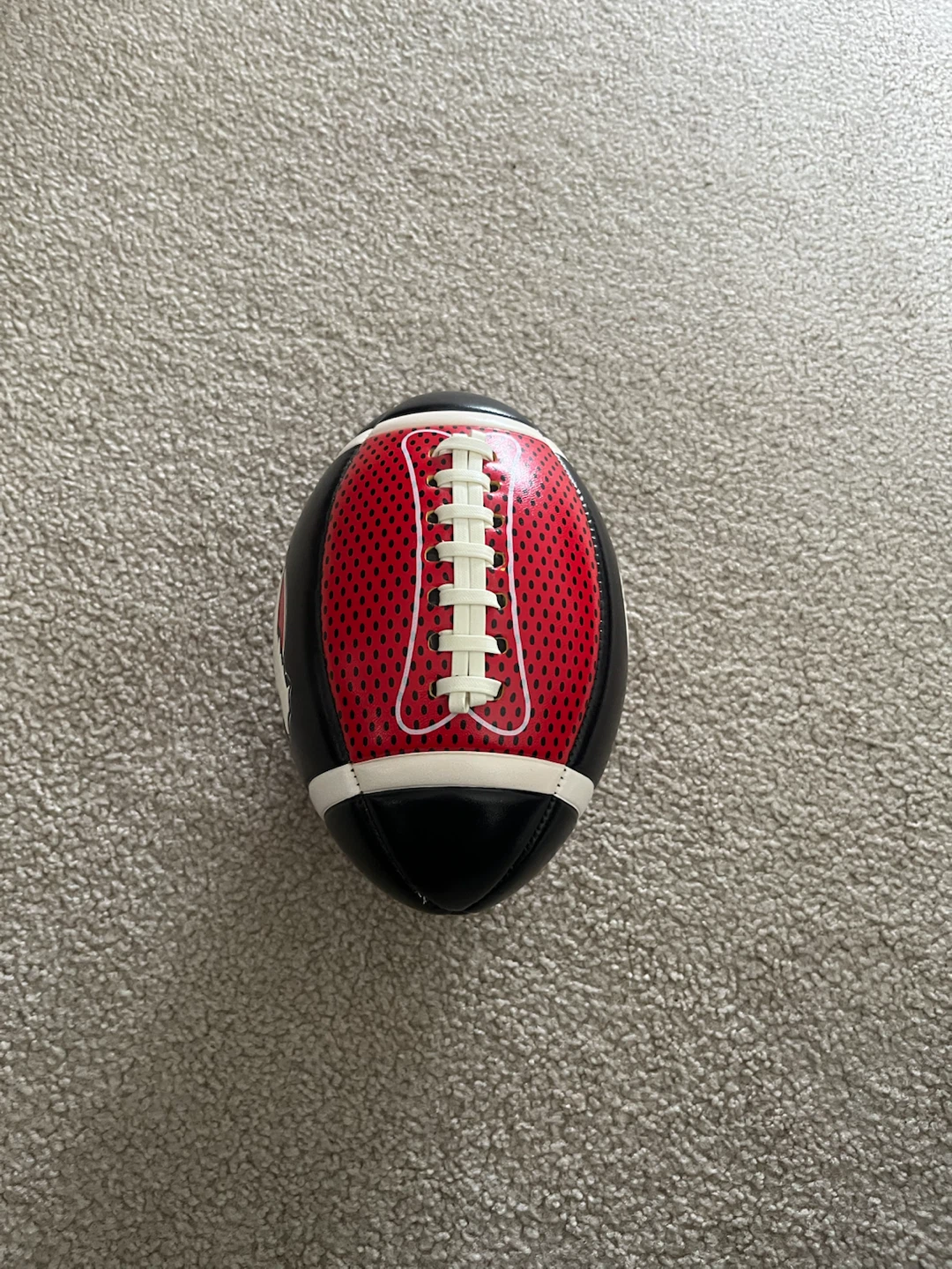 Stampeders Football - photo 2