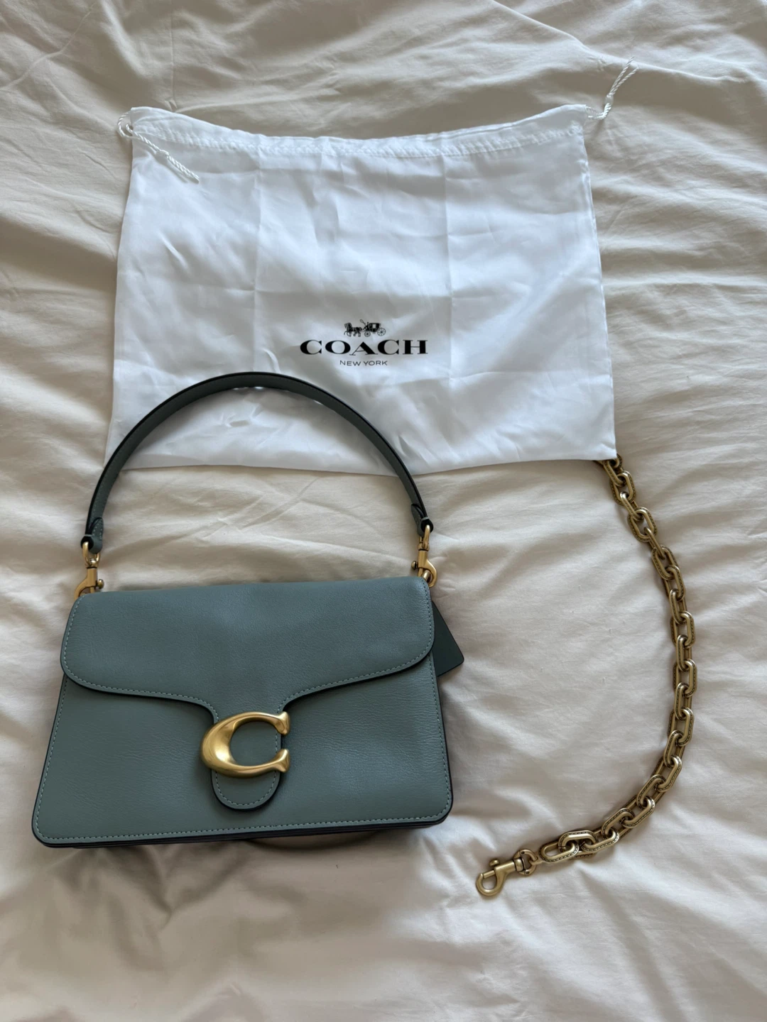 RARE Coach Chain Tabby 26