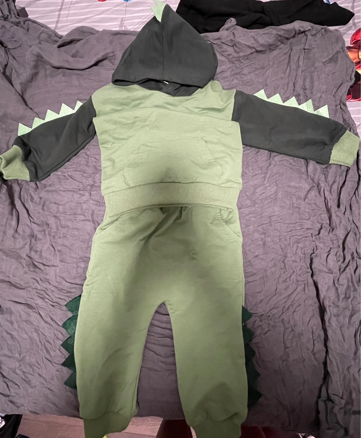 Kids Dinosaur Hoodie and Pants Set