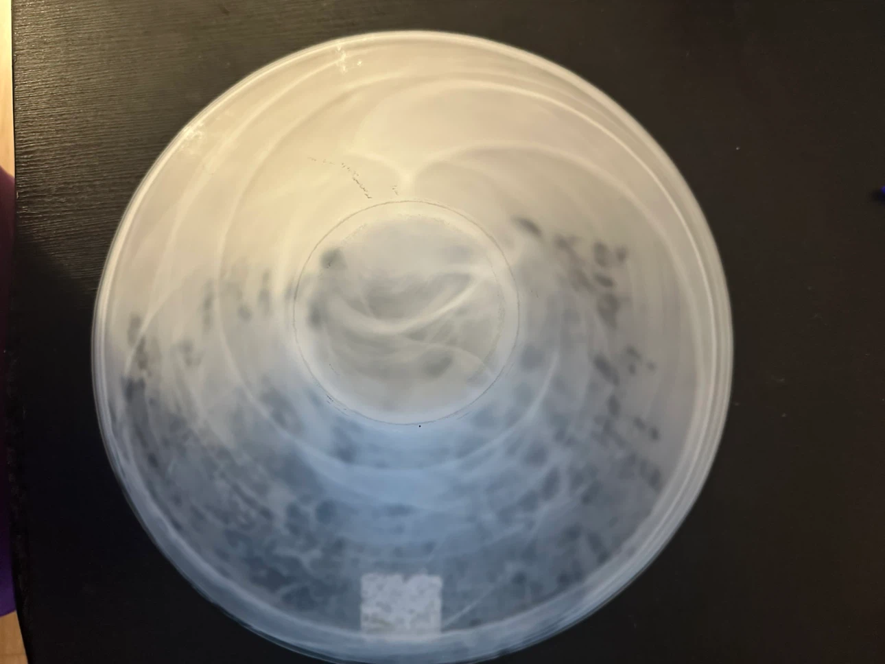 Large Decorative Frosted Glass Bowl – Brand New
