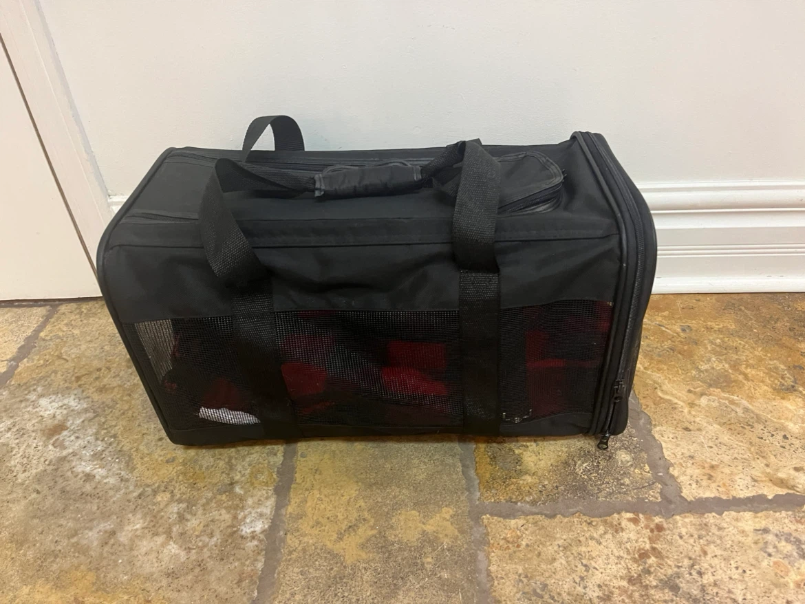 Black Soft Shell Cat or Small Dog Carrier with new blanket