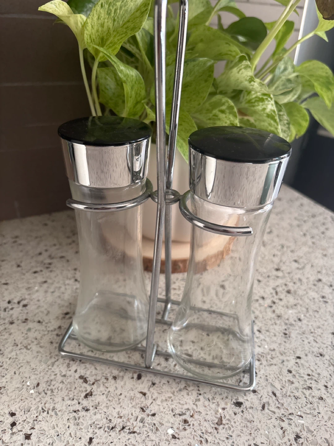 Glass Salt and Pepper Shakers with Metal Stand