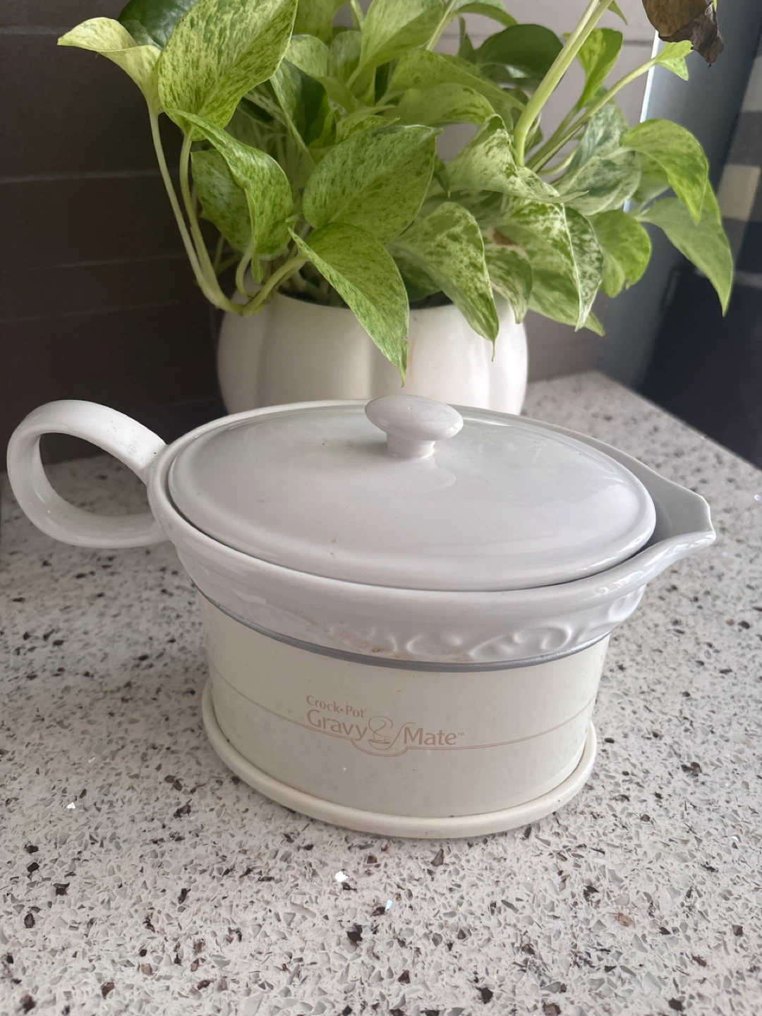 Crock-Pot Gravy Mate