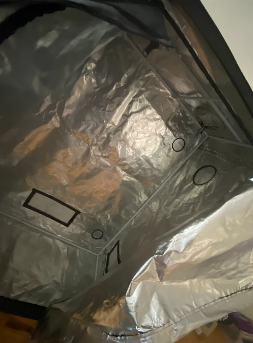 Grow Tent Plant Grow Tent - photo 2