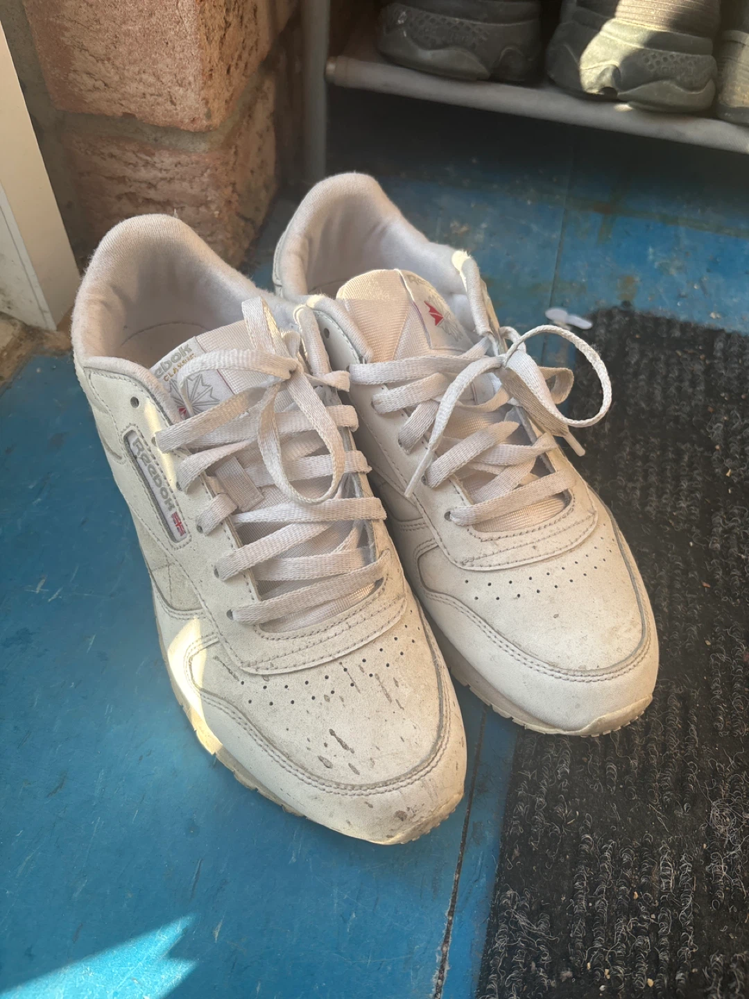 Reebok Classic Leather Sneakers