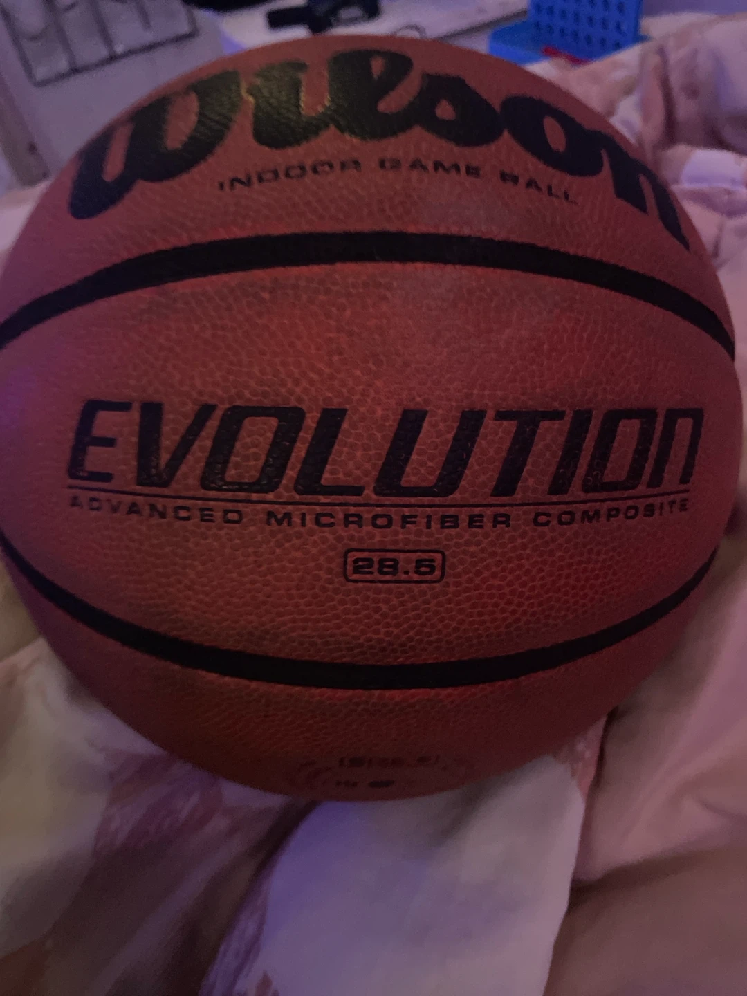 Wilson Evolution Indoor Game Ball Basketball