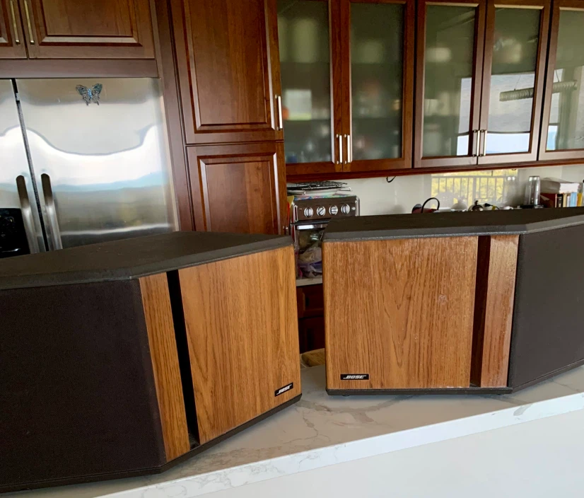 Bose 4.2 Stereo Everywhere Speakers - photo 4