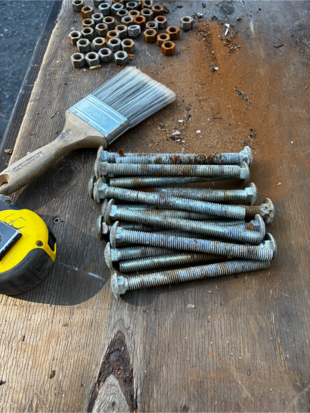 5 and 6 in galv carriage bolts