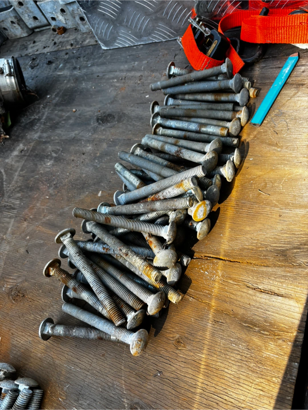 5 and 6 in galv carriage bolts - photo 2