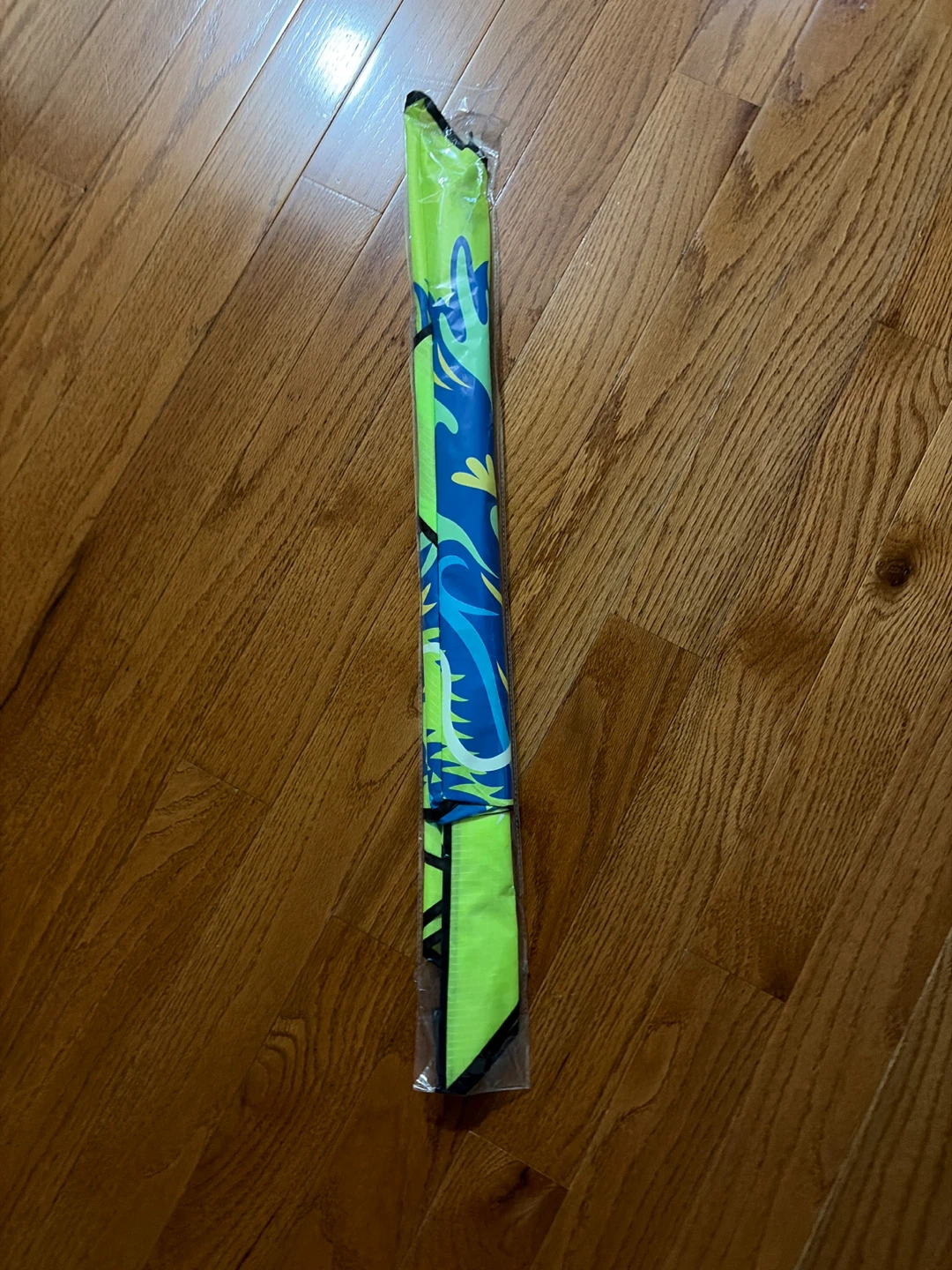 Dragon Kite for Outdoor Fun