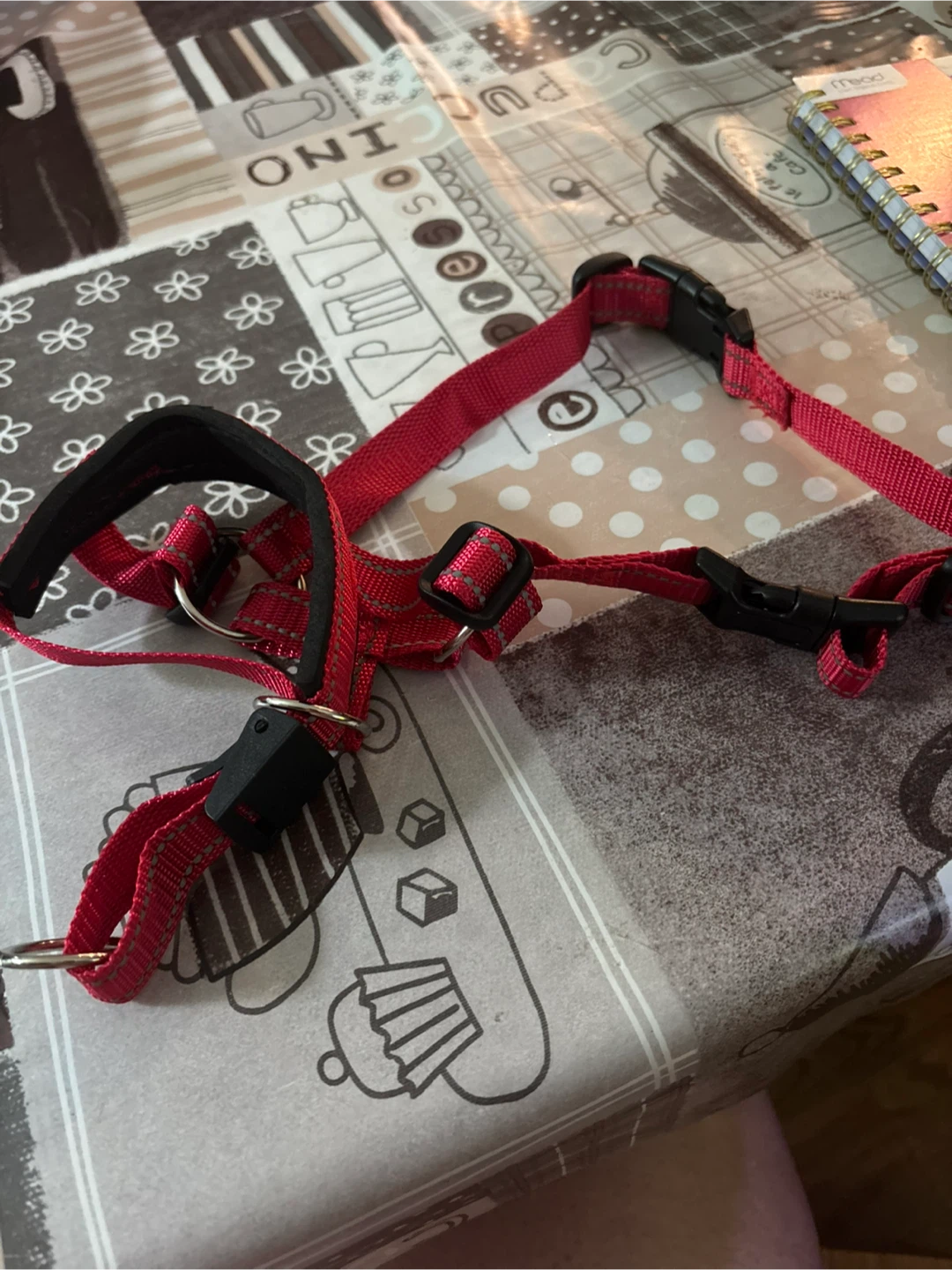 Red Dog Harness
