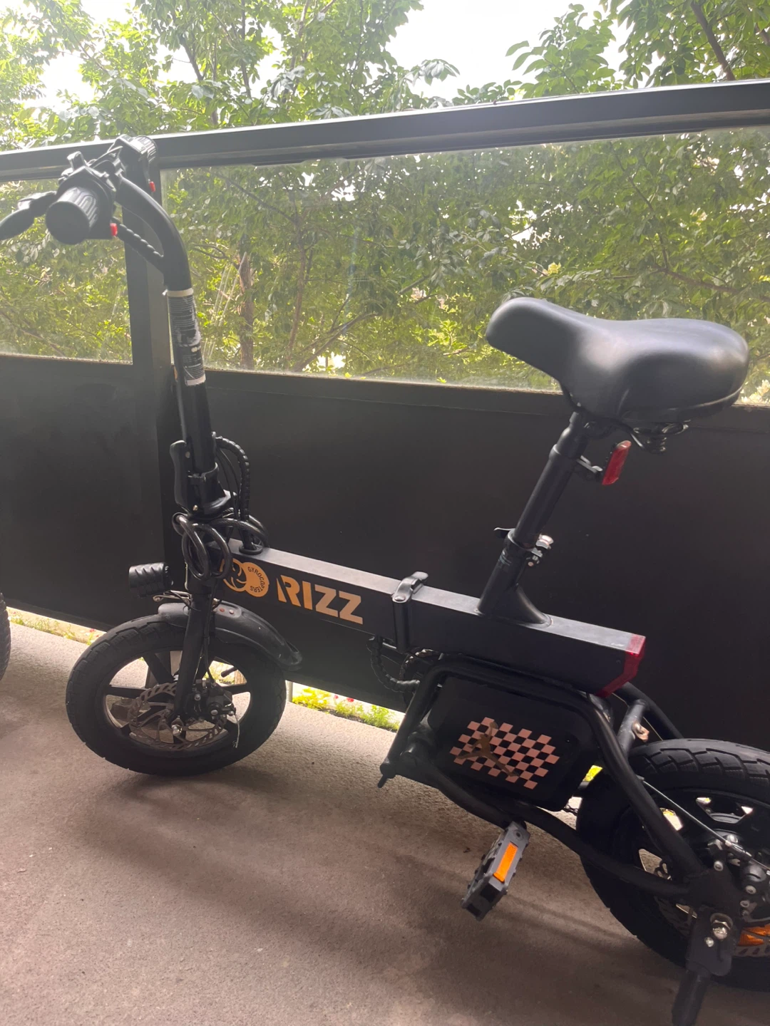 RIZZ Electric Bike