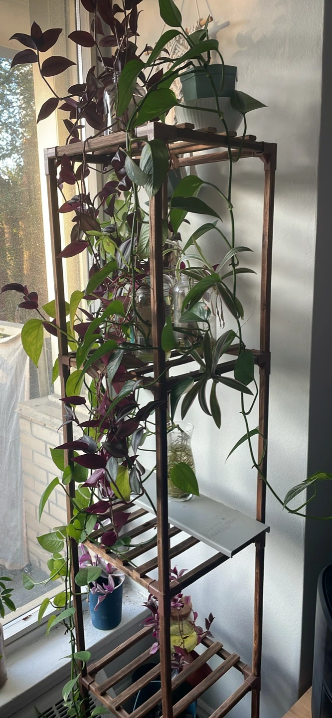 Wooden Plant Stand with Multiple Shelves