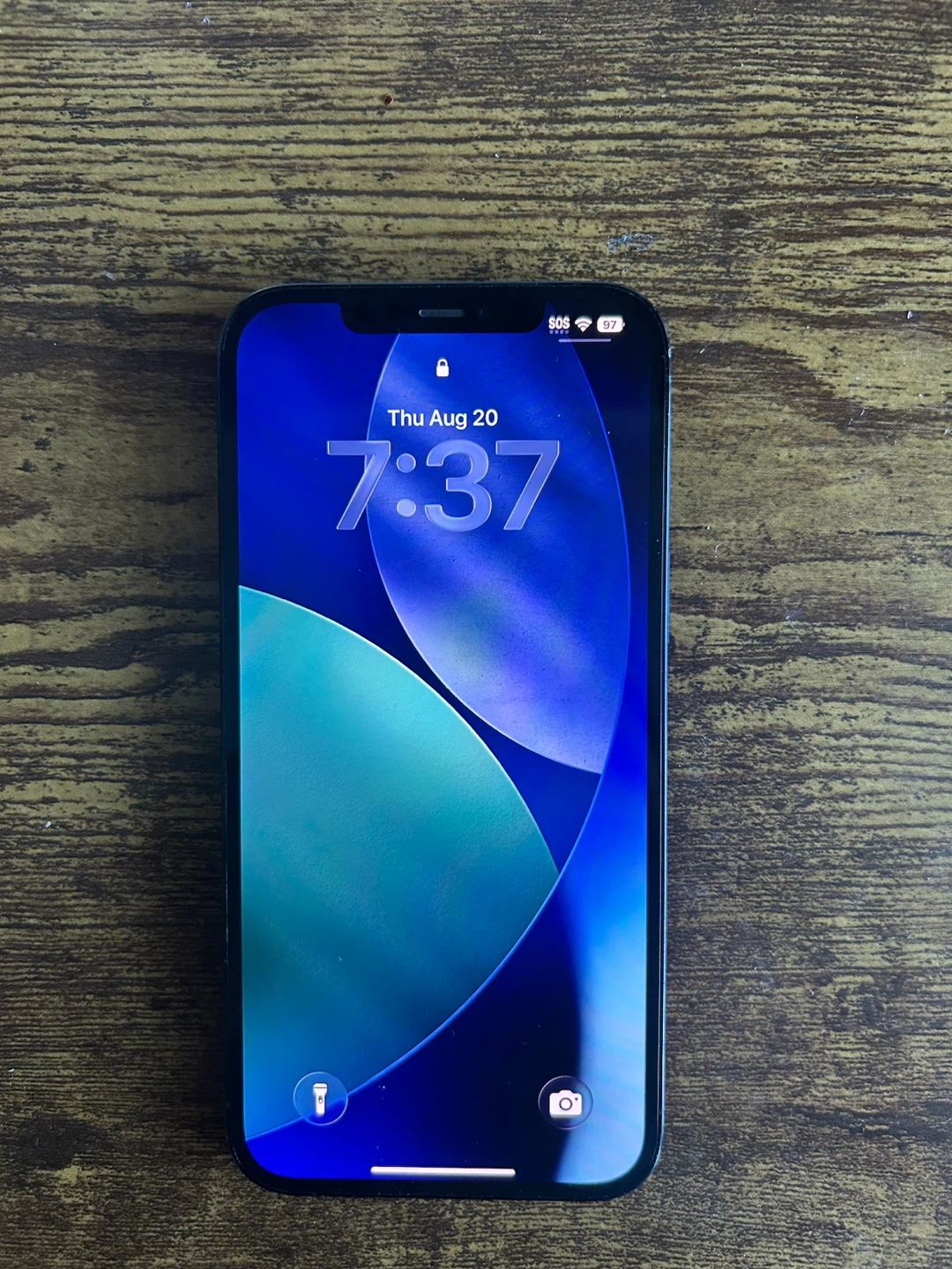 Apple iPhone 12 Pro Max - Pacific Blue - photo 2