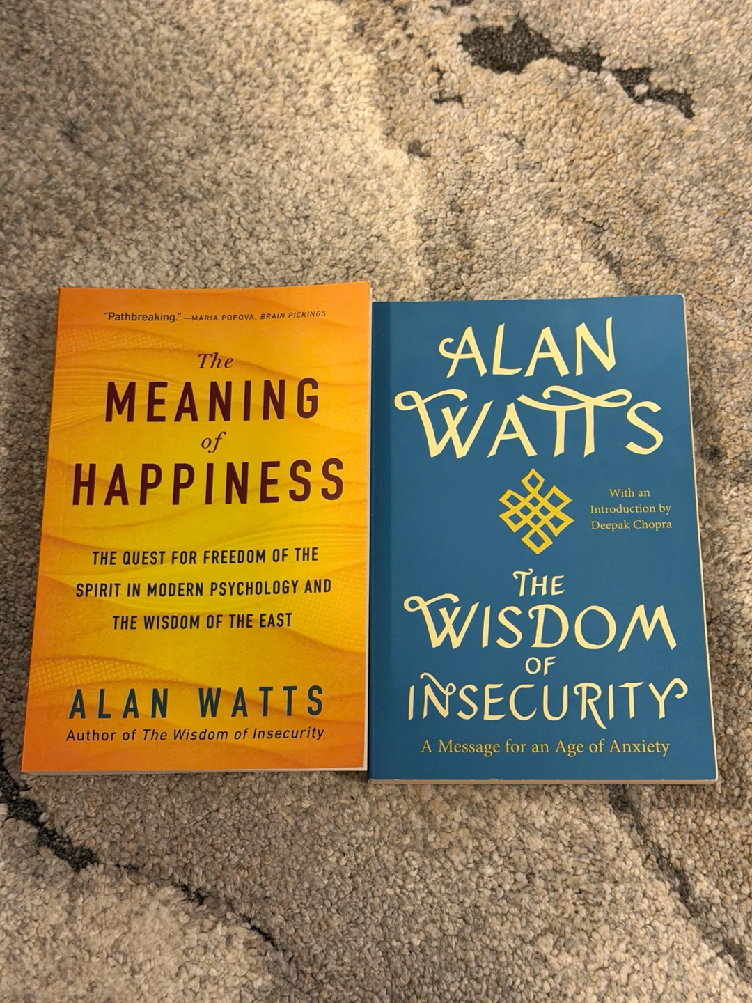 Alan Watts: The Meaning of Happiness & The Wisdom of Insecurity