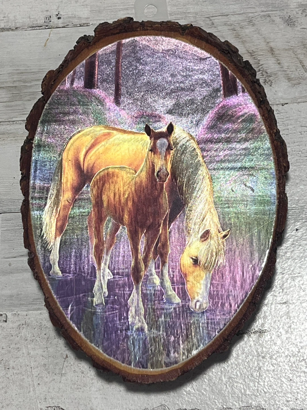 Vintage Rustic Live-Edge Wood Slice Wall Plaque, 8.5” H x 6” W