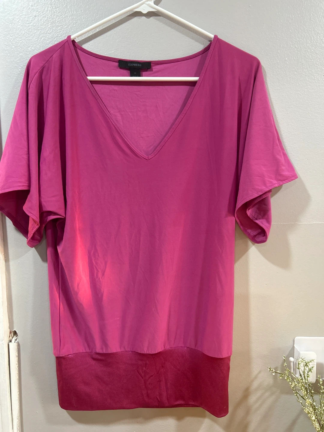 Express Pink V-Neck Top - Size M
