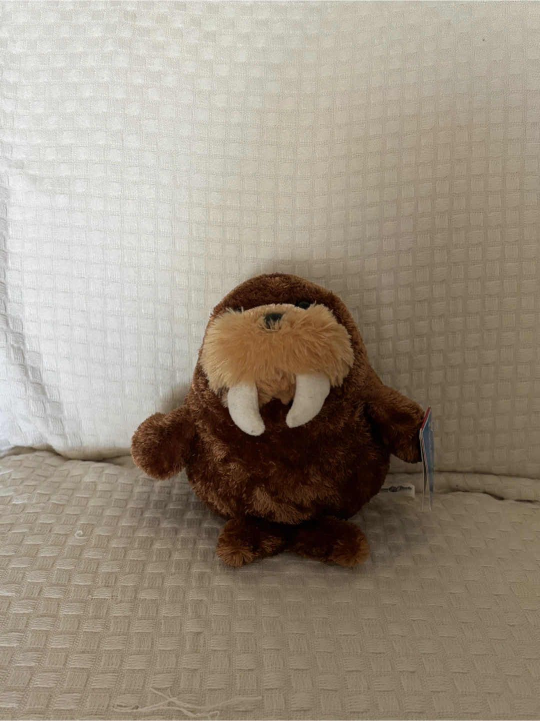 Ocean Park Hong Kong Walrus Plush