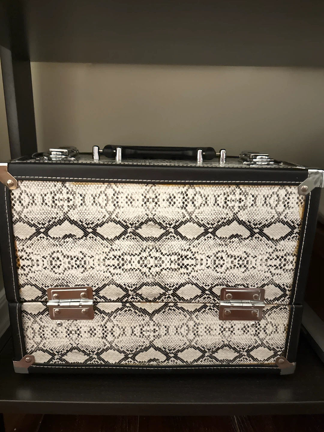 Snake Print Makeup Train Case/Jewelry Box