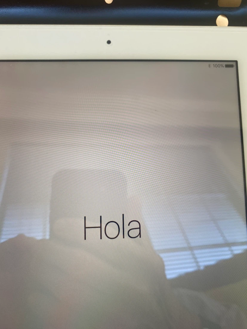 iPad - photo 3