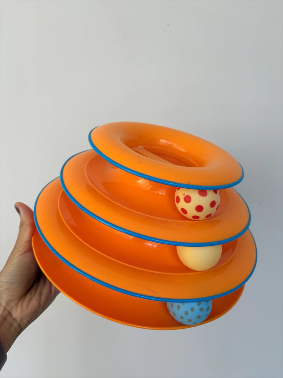 Cat Accessory Bundle - photo 3