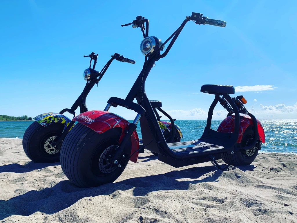 Grasshopper Scooters Electric Fat Tire Scooter - photo 2