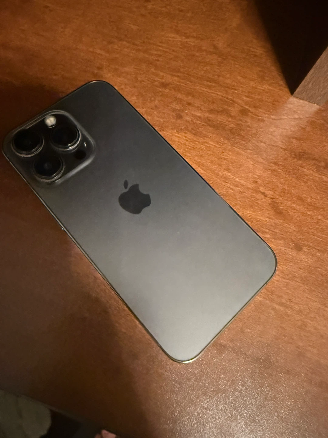 Silver iPhone 13 Pro Max and a phone case with MagSafe Ring - photo 3