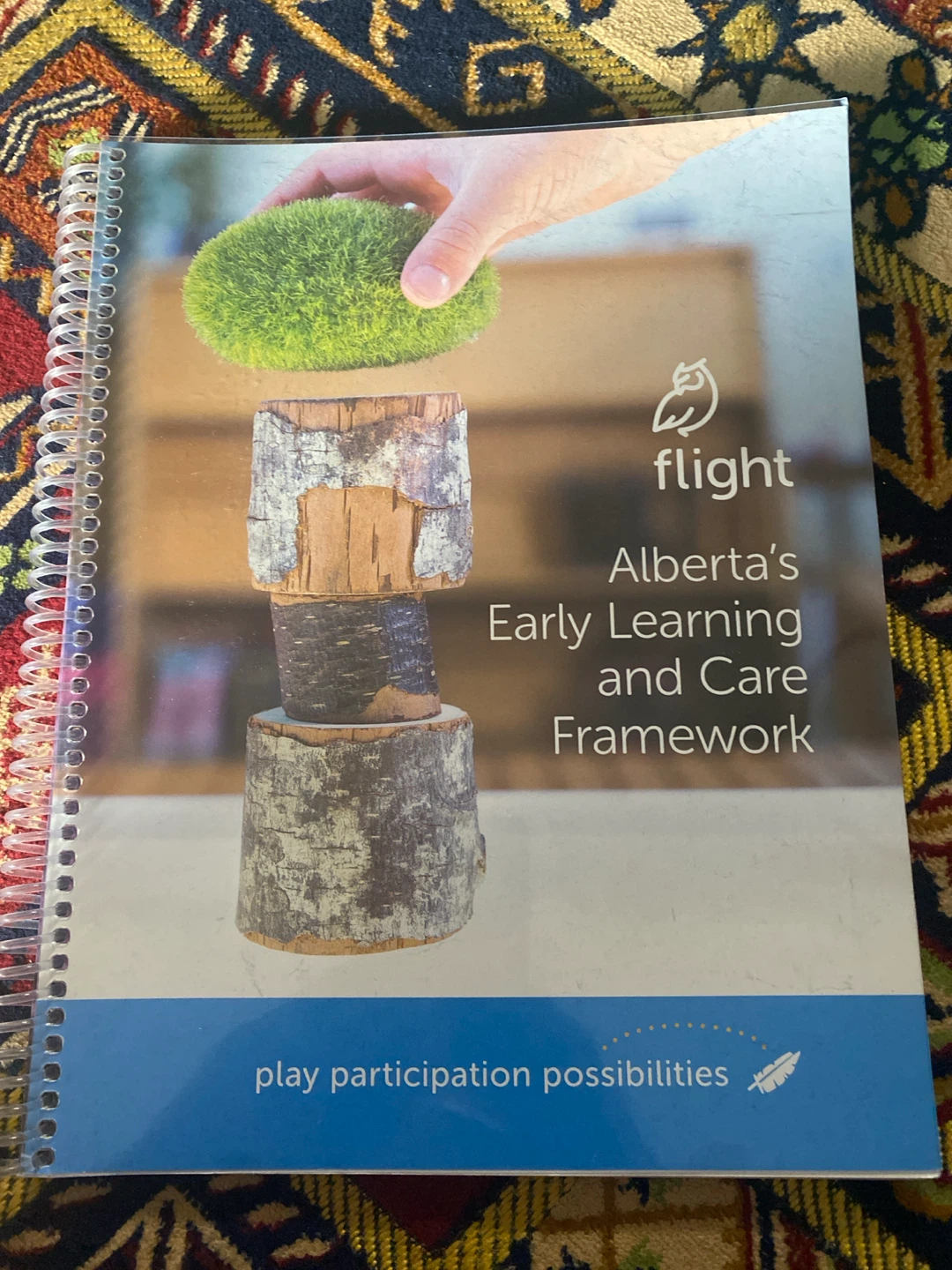 Flight Alberta's Early Learning and Care Framework Book
