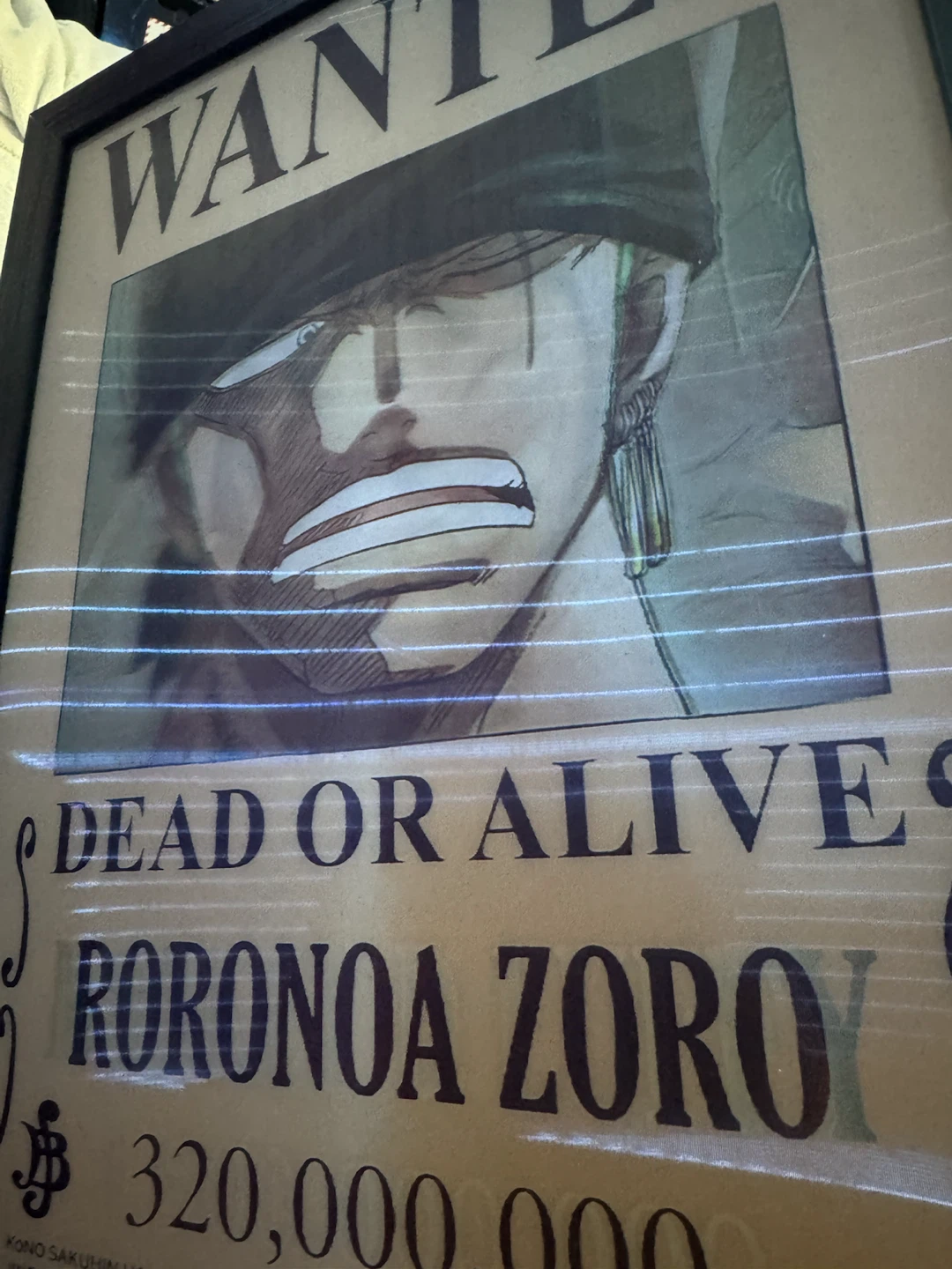 One Piece Monkey D Luffy and Roronoa Zoro Wanted Poster Set - photo 2