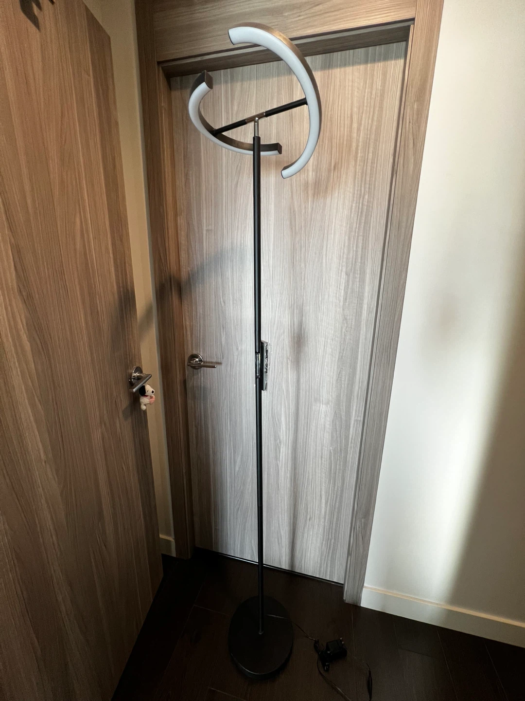 Modern LED Floor Lamp with Remote