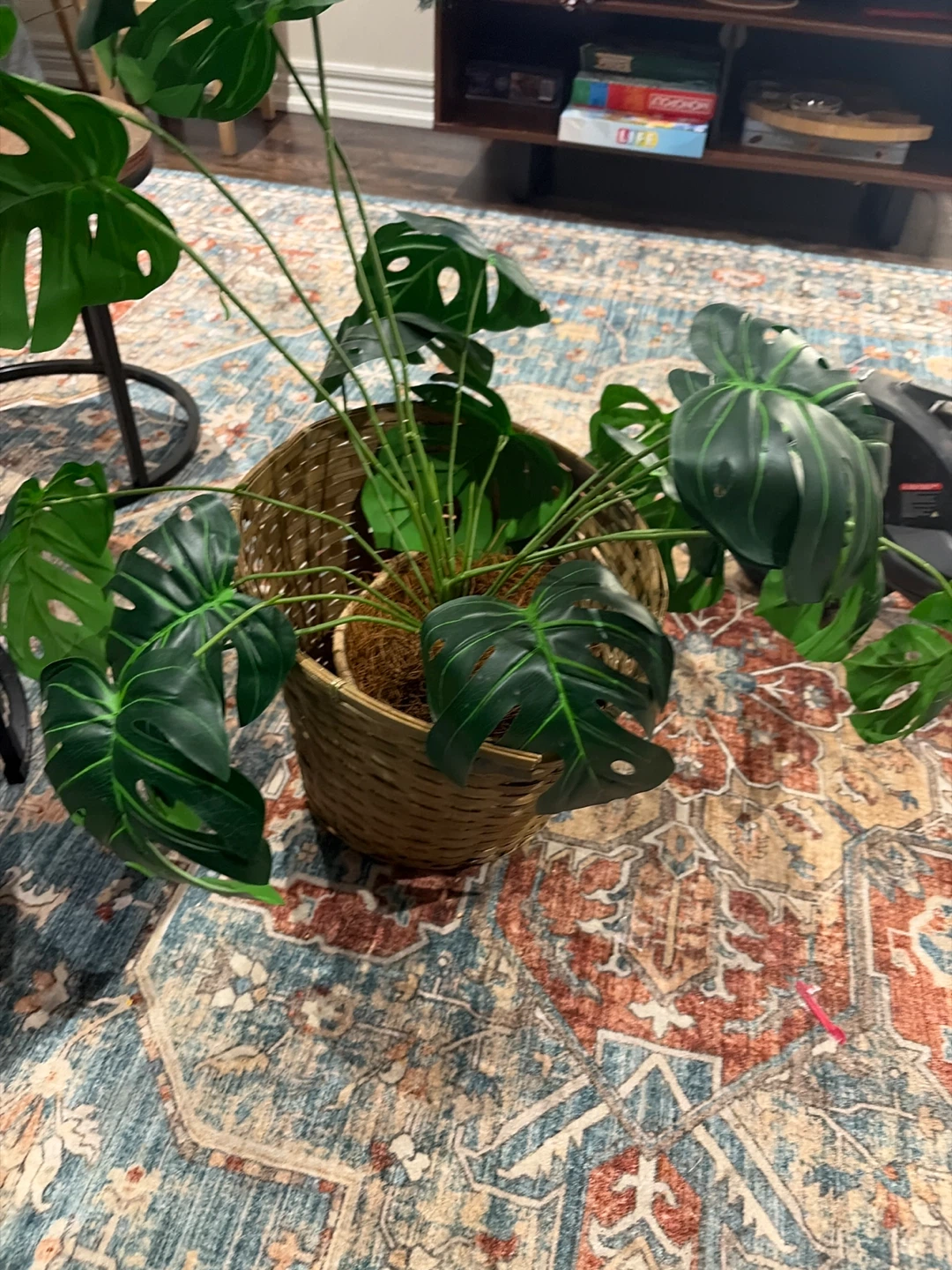 Artificial Monstera Plant in Wicker Basket