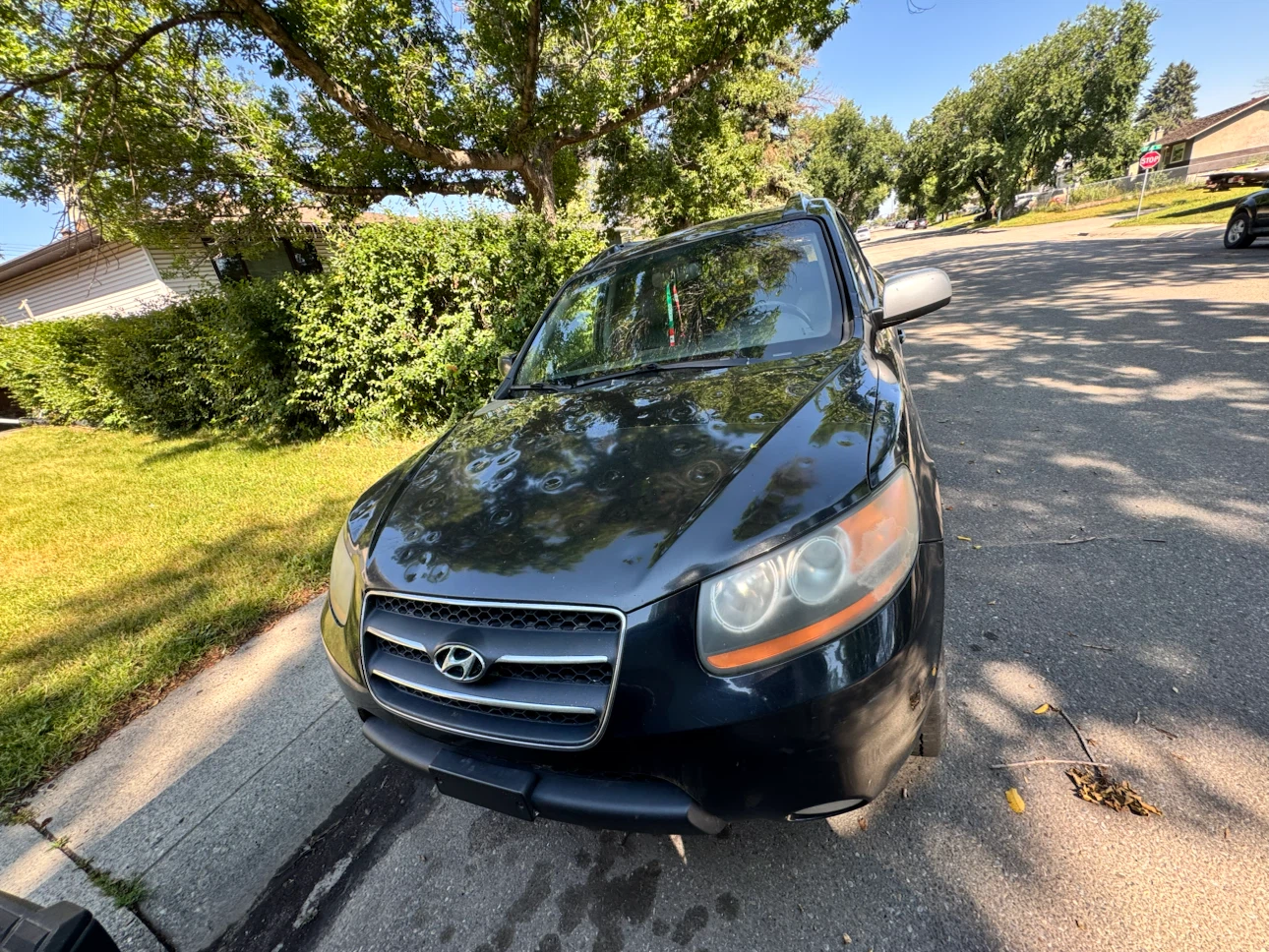 2009 Hyundai Santa Fe Limited V6 AWD - photo 2