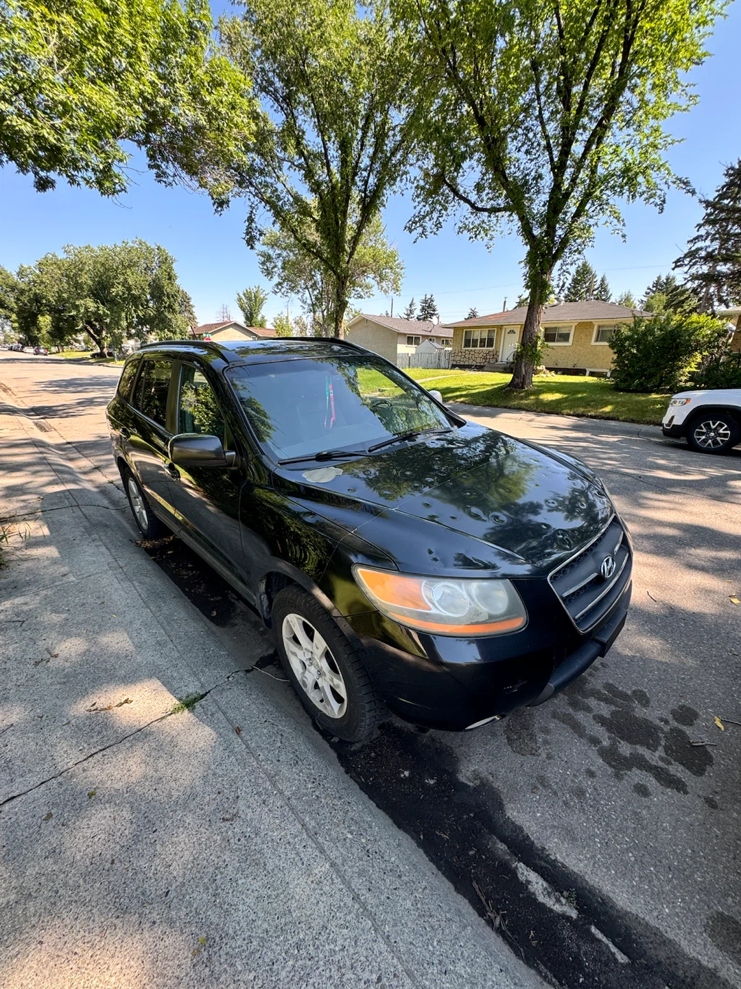 2009 Hyundai Santa Fe Limited V6 AWD - photo 3
