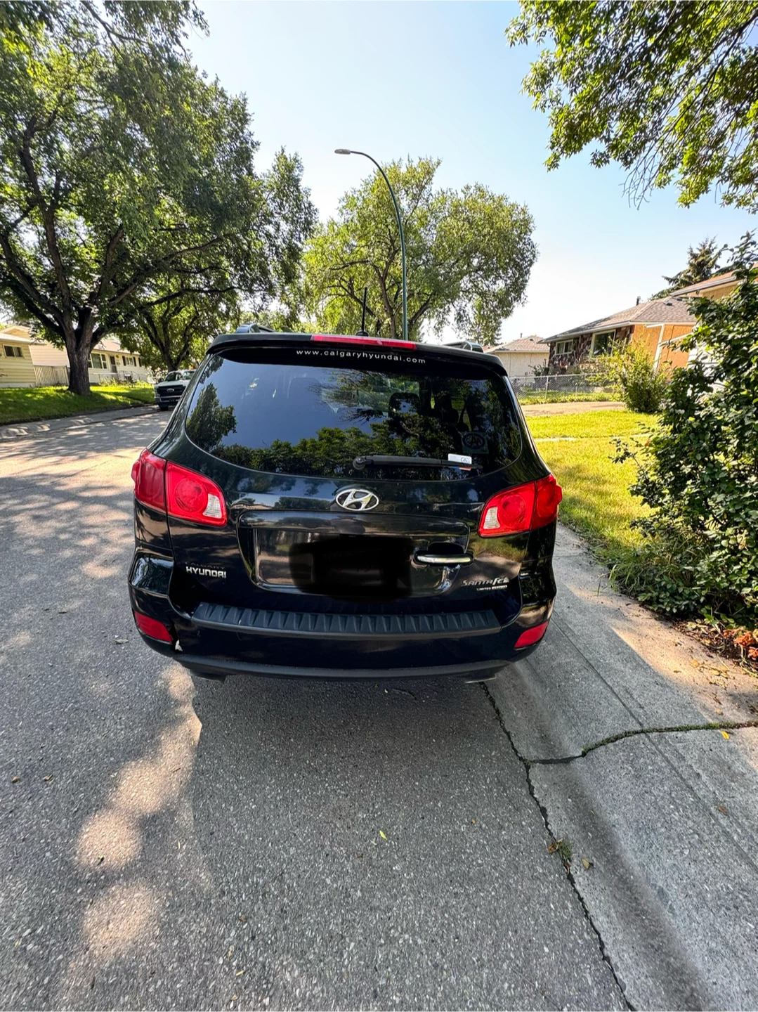 2009 Hyundai Santa Fe Limited V6 AWD - photo 5